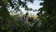 Ukrayna'nın ICEYE ve Nokia ile İletişim Uydu Alımı Planları