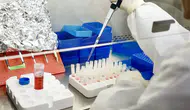 ABD Donanması Yemen'deki Sıtma Salgını Araştırıyor