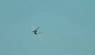 Avustralya, Super Hornet Uçaklarında Yeni Füze Kapasitesi Kazandı