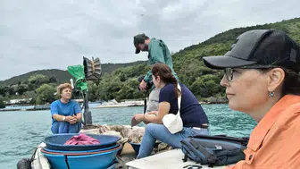 Füze Krizine ABD Yanıtı: Tamir Füzesi İsrail'de