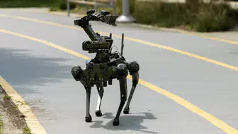 Çin'in Robot Köpekleri Yükselişte