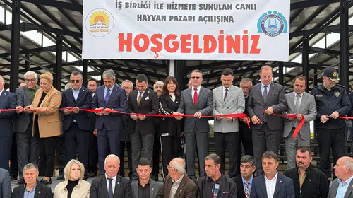 Bulgaristan'da Hava Kuvveti Krizi