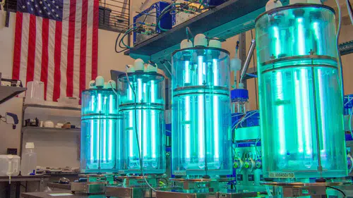 Biosphere, Pentagona Kimyasallar Üretiminde Yeni Adım