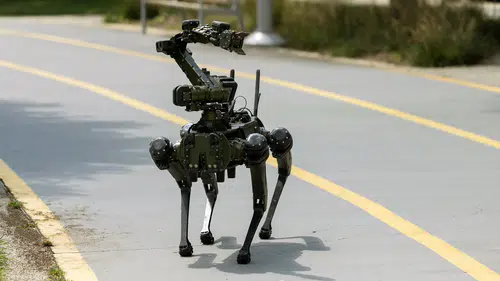 Çin'in Robot Köpekleri Yükselişte