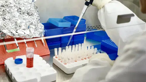 Yemen'de Sıtma Tehdidi Artıyor